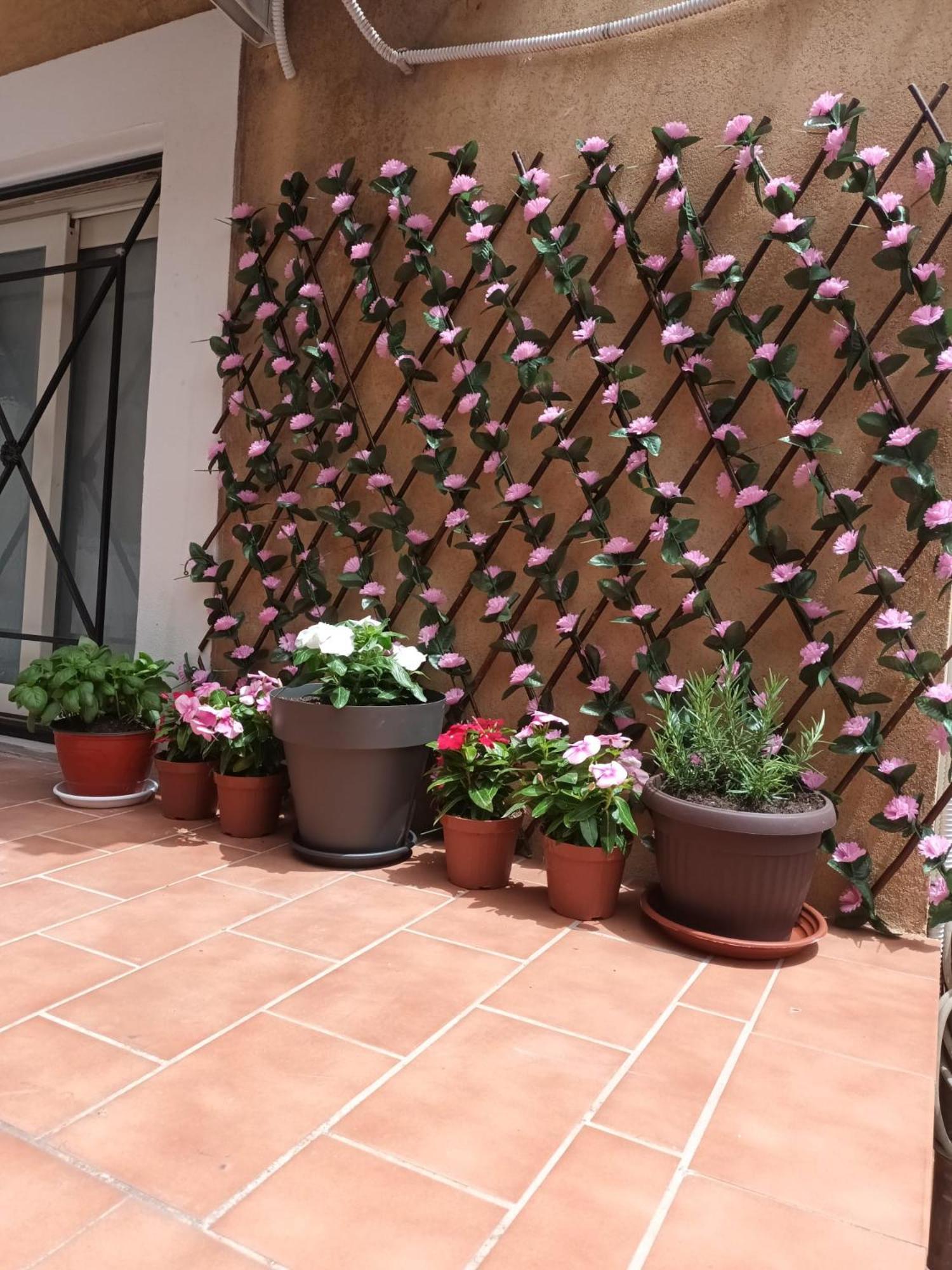 Le Case Del Cortile CTA Exterior photo